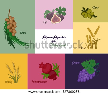 Seven species of the Holy Land, two grains and five fruits, Jewish holiday Shavuot, vector illustration