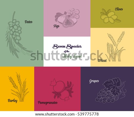Seven species of the Holy Land, two grains and five fruits, Jewish holiday Shavuot, vector illustration