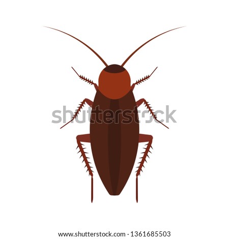 cockroach clip art free roach clipart stunning free transparent png clipart images free download cockroach clip art free roach clipart