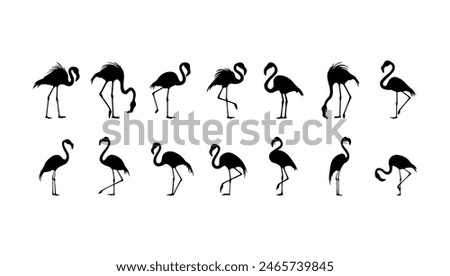 Flamingo silhouettes set black vector illustration. Animal wildlife symbol and cartoon art tropical bird. Cut out collection exotic sign sketch isolated white background