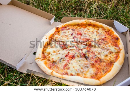 Pizza outdoors in picnic