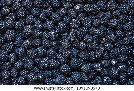 Similar – Image, Stock Photo Blackberries close-up image. Ripe blackberry fruits