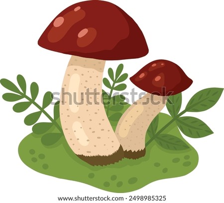 Mushrooms in a forest clearing. A color image of wild mushrooms on a white background. Mushrooms. Vector illustration for children's books and biology textbooks, menus.