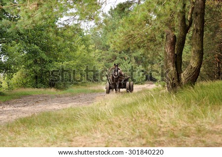 a cart with a horse in the forest