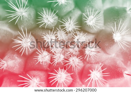 Abstract Soft Light Green and Red Snow Thorn Pricky Soft Focus - Abstract Nature Background Texture