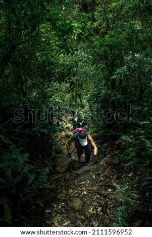 Hiker woman in the middle of the tropical forest of Costa Rica