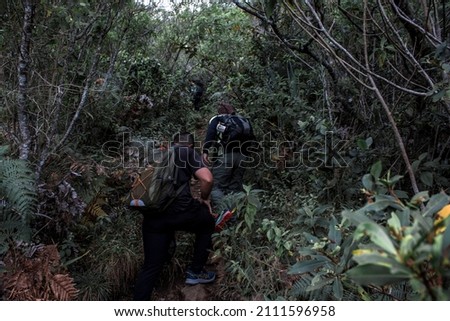 two hikers climbing through the vegetation of the mountain