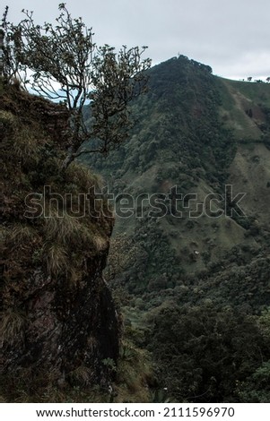stone ravine overlooking the green mountain in Costa Rica