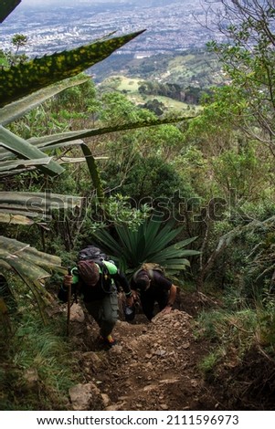 Two hikers in the middle of the vegetation of the tropical forest of Costa Rica