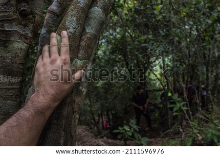 hand leaning on a tree in the middle of the vegetation of the tropical forest of Costa Rica