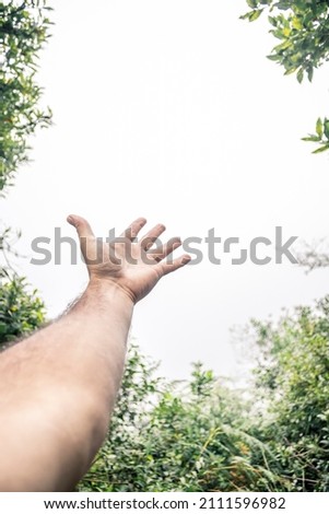 outstretched arm showing a white background with a frame of green branches and leaves