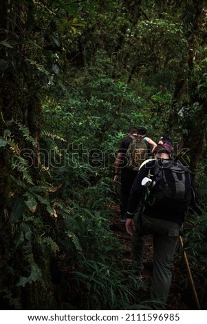 Hiker in the middle of the tropical forest of Costa Rica