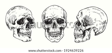 Skull set collection. Ink black and white drawing. Vector illustration