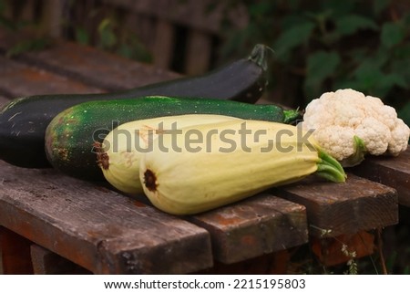 Similar – Foto Bild Blumenkohlsorte auf mehrfarbigem Hintergrund