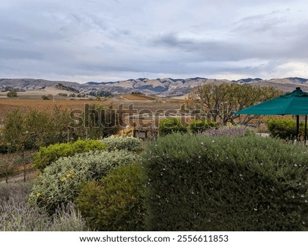 Similar – Image, Stock Photo Vineyard on a cloudy day