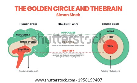 The Golden Circle and brain illustration of Simon Sinek has 3 elements starting with Why question. Diagram vector presentation inform the origin of human performance or behavior of user target goal 