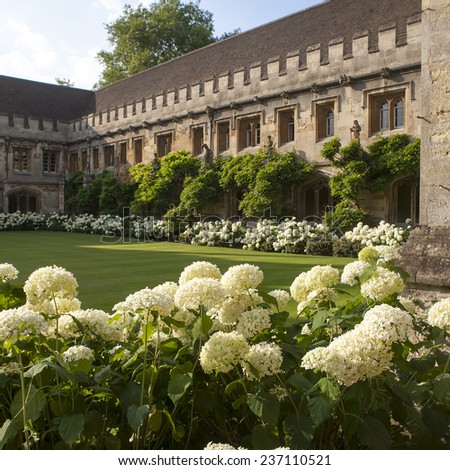 Oxford, England - July 10, 2014, The New Building of Oxford Magdalen College, on 10 July 2014