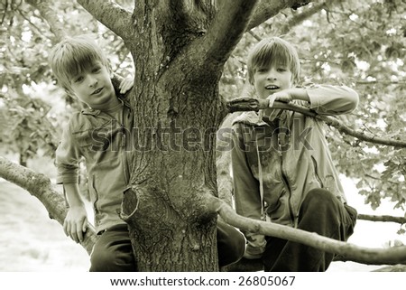 cute twins brother climb  tree. Summer time