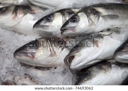variety of fresh fish seafood in market closeup background