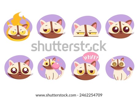 Similar – Image, Stock Photo sweet tooth Cat kitten