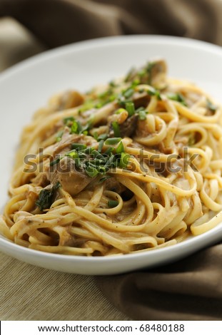 Pasta with mushroom sauce and duck meat. White plate with brown background.