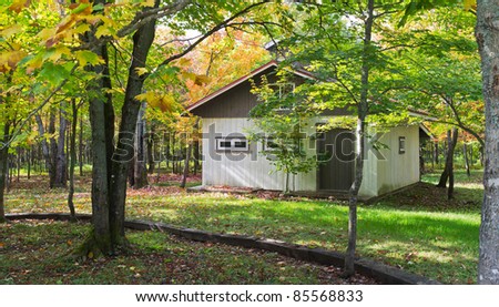 Cabin in the wood with orange leaf during the autumn season.