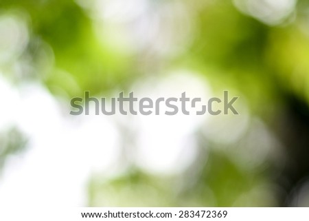 Abstract circular green and dark leaf bokeh blur for natural background