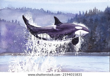 Killer whale jumps out of water against background of hills of fir trees and trees with splashes of sea. Watercolor illustration.