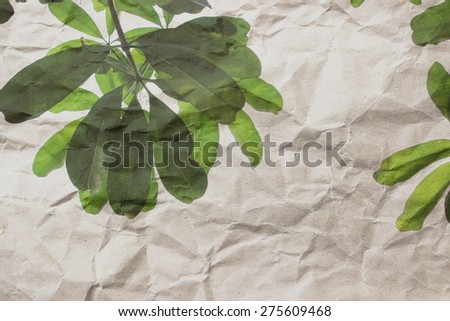 green leaves on crumpled paper