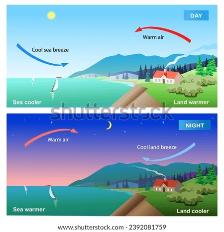 Land end sea breeze diagram. Science education vector illustration