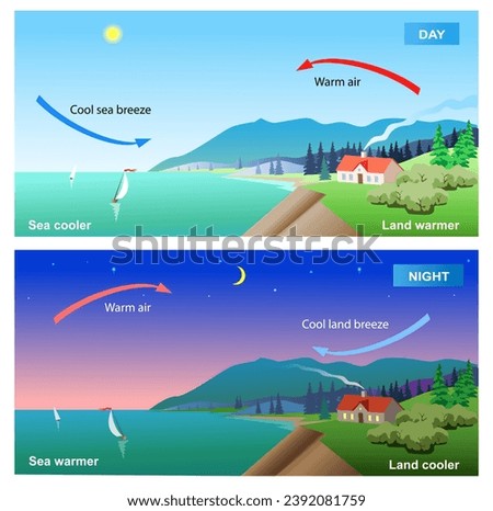 Scientific infographics vector  illustration. Land end sea breeze diagram