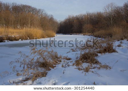 Frozen stream in winter. Wilderness background image taken from right of stream. Stream turns left and disappears out of frame in distance. Color balance is true to life.