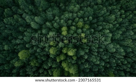 Similar – Image, Stock Photo Aerial top down view of boat moored at secluded white sand beach with coconut palm trees and surreal turquoise blue shallow lagoon around. Travel exotic paradise concept