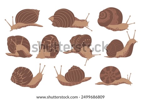 Set of realistic flat brown snails. Detailed minimalistic vector illustration. Gastropod mollusk with shell. French cuisine