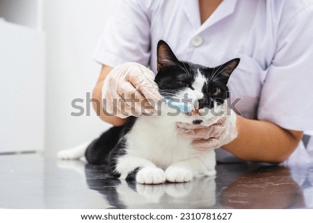 Similar – Image, Stock Photo Cat at the dentist