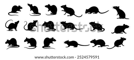 A set of Rat silhouette black color in different sitting and standing style, side pose and playing. Vector