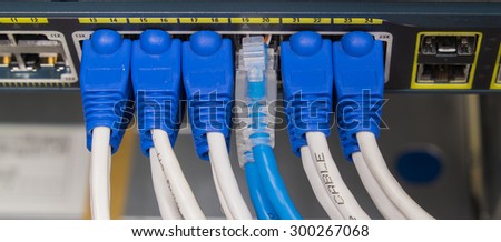 Lan utp cable plug in network switch