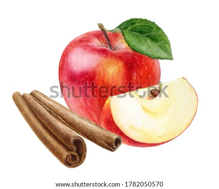 Cinnamon sticks and red apple composition watercolor illustration isolated on white background