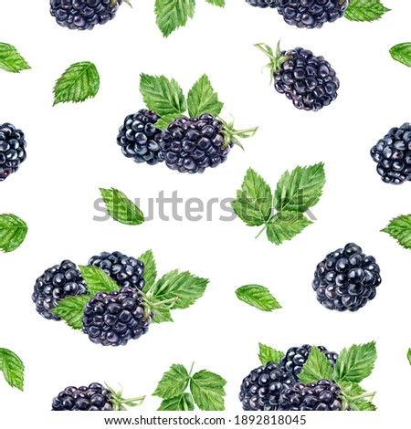 Watercolor Seamless Pattern Blackberries Isolated On White Background Stock Fenykep 1892818045 Shutterstock Puzzlepix