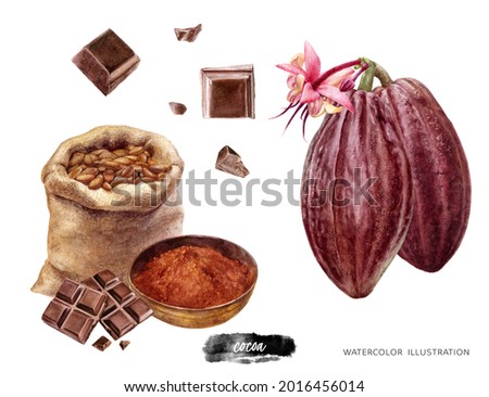 Bowl with cocoa powder and cocoa beans in burlap sack and chocolate and cocoa fruit watercolor illustration isolated on white background