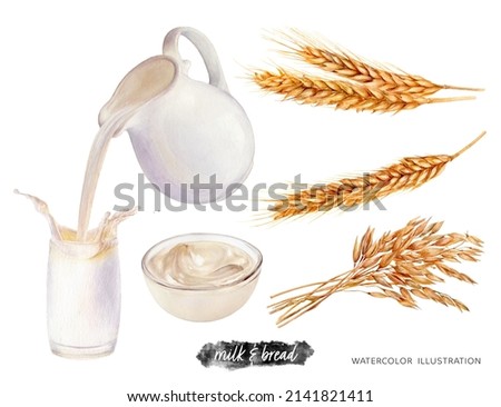 Wheat and oats, milk, yougurt watercolor illustration isolated on white background