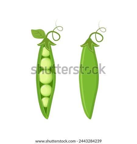 Set of two green peas isolated on white background vector illustration.