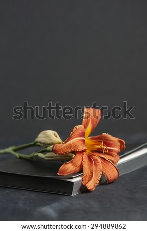 Orange bright day-lilly on the gray diary book
