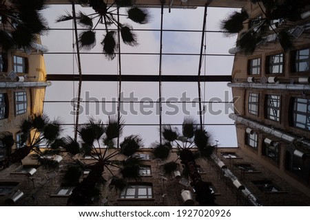 Similar – Image, Stock Photo Marseille / palm tree behind houses