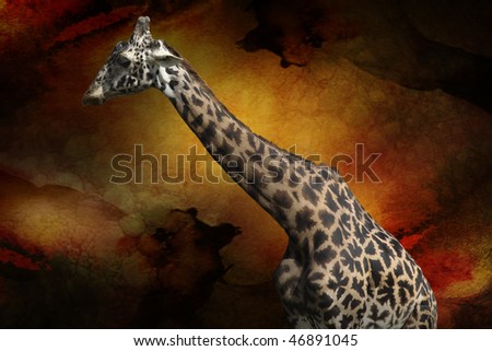 Giraffe shot in the Toronto Zoo