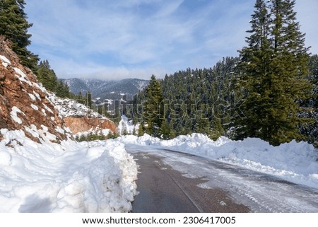 Image, Stock Photo Road near forest in afternoon