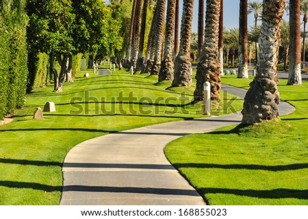 Tall rows of palm trees line a walking path