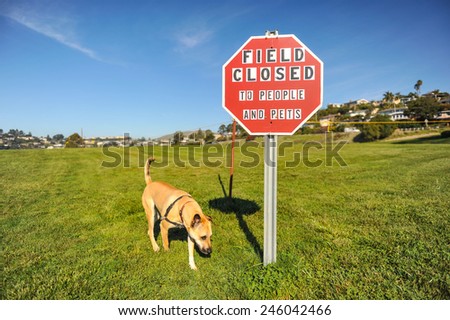 Red sign with field closed to people and pets by a grass field with a dog by it.