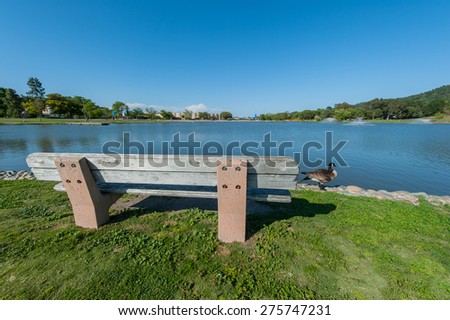 Round grass area near lake with willow tree