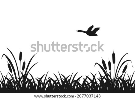 Similar – Image, Stock Photo Single reed grass on a cold sunny winter day at the lake